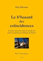 Le b'hasard des coïncidences, Et autres incursions dans le monde des petits entrepreneurs d'Afrique de l'Ouest