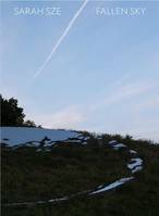 Sarah Sze Fallen Sky /anglais