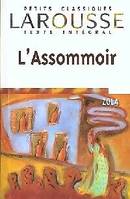 Les Rougon-Macquart., L'Assommoir texte intégral, roman