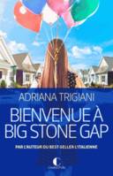 BIENVENUE A BIG STONE GAP