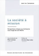 La société à mission, Perspectives critiques sur l'entreprise sous l'angle de la loi PACTE