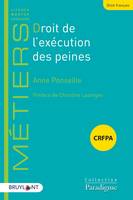 Droit de l'exécution des peines