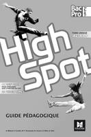 HIGH SPOT Tome unique 2de/1re/Tle Bac Pro - Éd. 2017 - CD audio