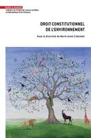 Droit constitutionnel de l'environnement, Regards croisés