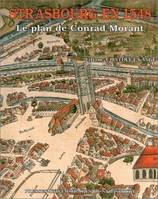 Strasbourg en 1548, Le plan de Conrad Morant