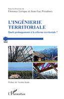 L'ingénierie territoriale, Quels prolongements à la réforme territoriale ?