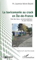 La toxicomanie au crack en Île-de-France, Etat des lieux, recommandations et plan d'action