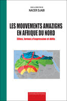 Les mouvements amazighs en Afrique du nord, Élites, formes d'expression et défis