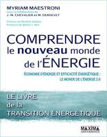 Comprendre le nouveau monde de l'énergie, Economie d'énergie et efficacité énergétique : le monde de l'énergie 2.0