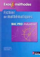 Fichier de mathématiques Bac Pro industriel