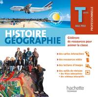 Histoire Géographie Terminale Bac Pro - Cédérom ressources - Ed.2011, Éducation civique