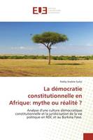 La démocratie constitutionnelle en Afrique: mythe ou réalité ?, Analyse d'une culture démocratique constitutionnelle et la juridicisation de la vie politique en RDC