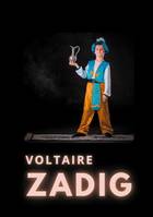 Zadig, ou la destinée