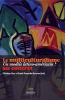 Le multiculturalisme, Un modèle latino-américain ? « au concret »