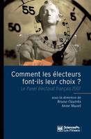 Comment les électeurs font-ils leur choix ?, Le Panel électoral français 2007