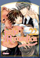 22, Junjo Romantica T22