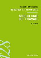 Sociologie du travail, Domaines et approches