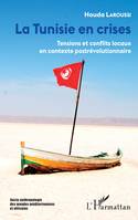 La Tunisie en crises, Tensions et conflits locaux en contexte postrévolutionnaire