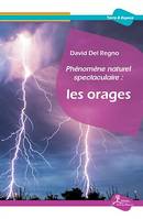 Phénomène naturel spectaculaire : les orages