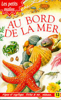 Au bord de la mer