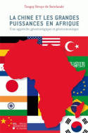 La Chine et les grandes puissances en Afrique, Une approche géostratégique et géoéconomique