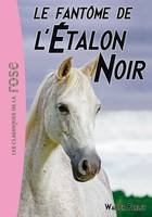 16, L'Étalon Noir 16 - Le fantôme de l'Étalon Noir