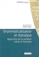 Grammaticalisation et réanalyse, approches de la variation