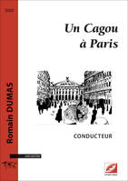 Un cagou à Paris, Orchestre