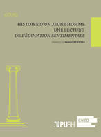 Histoire d'un jeune homme, Une lecture de L'Éducation sentimentale