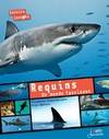 Requins, un monde fascinant