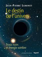 Le destin de l'univers, Trous noirs et énergie sombre