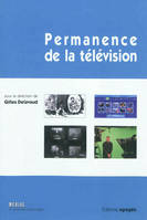 Permanence de la télévision, La télévision face au nouveau paysage multimédia : quel avenir ?