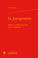 La juxtaposition, Histoire et (dé)construction d'une complexité