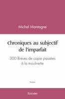 Chroniques au subjectif de l'imparfait, 300 brèves de copie passées à la moulinette