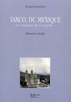 Taxco du Mexique, La Couleur de l'Argent