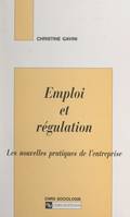 Emploi et régulation, Les nouvelles pratiques de l'entreprise