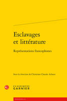 Esclavages et littérature, Représentations francophones