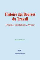 Histoire des Bourses du Travail, Origine, Institutions, Avenir