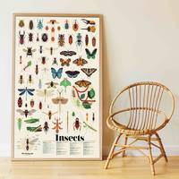 Insectes