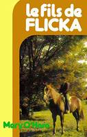 Le Fils de Flicka