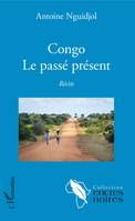 Congo, Le passé présent - Récits