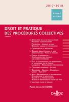 Droit et pratique des procédures collectives 2017/2018 - 9e éd.