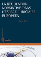 La régulation normative dans l'espace judiciaire européen