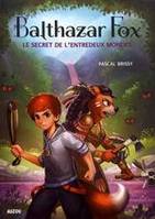 2, Balthazar Fox / Le secret de l'entredeux mondes
