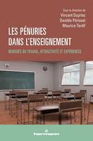 Les pénuries dans l'enseignement, Marchés du travail, attractivité et expériences