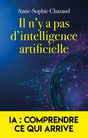 Il n'y a pas d'intelligence artificielle, IA : comprendre ce qui arrive