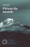 Piéton du monde, Poésie