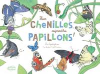 Hier chenilles, aujourd’hui papillons !, Larves, chenilles, chrysalides, papillons… lépidoptères !