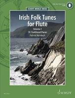 Irish Folk Tunes for Flute, Volume 2. flute (recorder, Tin Whistle).