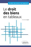 Le Droit des biens en tableaux